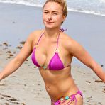 Fourth pic of Hayden Panettiere sexy in pink bikini on the beach in Miami