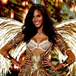 Second pic of Cindy Bruna in see through lingerie at VS 2014