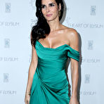 Third pic of Angie Harmon slight cleavage in green dress