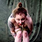 Third pic of SexPreviews - Mollie Rose tattoo babe rope bound her mouth spread in dungeon