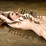 Second pic of SexPreviews - Juliette March endures brutal domination in extreme rope bondage with clothespins