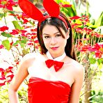 First pic of Creamy Asian Teen In Red Bunny Suit Shows Fuzzy Pussy