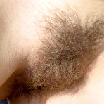 Fourth pic of HAIRY THICKETS