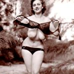 Fourth pic of Retro Porn Archive - the best vintage photos and videos