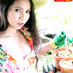 First pic of Thai Cuties - Felicia