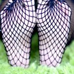 Second pic of Kitty Purrz In Sexy Fishnets
