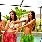 First pic of Hotty Stop / Bailey Knox Hula Girls