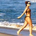 Fourth pic of Demi Lovato sexy in brown bikini on the beach
