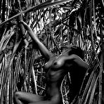 Second pic of Stephan Kotas Photography (Indonesia) - Gallery-of-Nudes.com