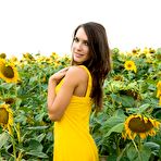 First pic of Gorgeous babe Semmi A removes her yellow dress outside in the sunflowers