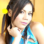 First pic of Exclusive Bareback Ladyboy Hardcore at LadyboyGold.com