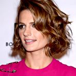 Fourth pic of Stana Katic shows legs in short pink dress