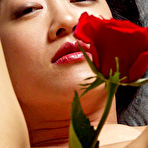 Fourth pic of PinkFineArt | TigerLily from Morey Studio