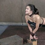 Fourth pic of SexPreviews - Eden Sin bound on the board of destruction with mouth and ass fucked by maledoms