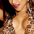 First pic of CJ Miles Sexy Dream Girl Seduces in Leopard Lingerie