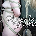 First pic of SexPreviews - Phoenix Rose curvy blonde is rope bound and toyed to orgasms