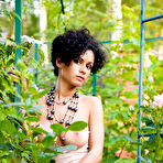 Third pic of Pammie Lee in Annysia MetArt free picture gallery