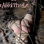 First pic of SexPreviews - Kitty Dorian black stockings brunette is bound in lots of rope in bdsm dungeon