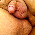 Fourth pic of My tiny dick 2 - 16 Pics - xHamster.com