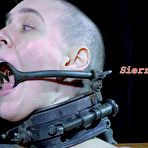 Fourth pic of SexPreviews - Sierra Cirque is bound in cage and toyed her head shaved bald