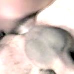 Second pic of Video porno brasileiro gay - Uso peludo mamando na anaconda domestica de seu parceiro ativo - Cnn Amador