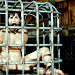 First pic of SexPreviews - Marina Mae is put in cage for kinky bdsm sex also with frogs