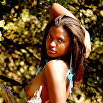 Third pic of Wild Africa