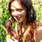 First pic of Oxana Chic Fun in a Corn Field