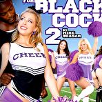 First pic of Three Cheers For Black Cock 2 | Third Degree Films | SugarInstant