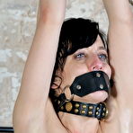 Third pic of Slave Elise Graves BDSM