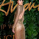 Third pic of Kendall Jenner Shows Her Tits And Ass In A See Thru Dress