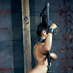Third pic of SexPreviews - Dana Vixen busty brunette is metal bound with tits clamped in dungeon