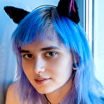 First pic of Best Blue kitten by http://nudeteenorgy.com/