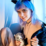 Third pic of Best Blue kitten by http://nudeteenorgy.com/