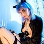 Fourth pic of Best Blue kitten by http://nudeteenorgy.com/