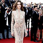 Fourth pic of Izabel Goulart in see through dress at The Beguiled premiere