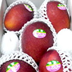 First pic of ☆★☆ 亜由美のきまぐれ日記　☆★☆:June 2010 - livedoor Blog（ブログ）