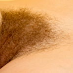 Third pic of  Free Hairy Porn Pics