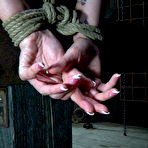Second pic of SexPreviews - Hailey Young is rope bound in dungeon to kinky cross made to orgasm