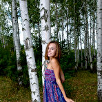 Fourth pic of Gracie in Birch Forest
