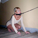First pic of Leash and lunch time - 17 Pics | xHamster