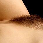 Fourth pic of BEST Hairy Site