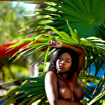 Third pic of Busty bionic ebony babe Marsha Elle posing nude on the beach