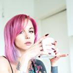 First pic of Pink haired beauty Ninaq in nude art photos by Suicide Girls | Erotic Beauties