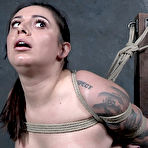 First pic of SexPreviews - Tori Avano big tits brunette is bound in rope exposed and kinky toyed to orgasms