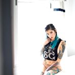 First pic of Tattooed suicide girl Wolf teasing in panties and leggings | Erotic Beauties