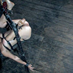 Third pic of SexPreviews - Sister Dee busty bdsm babe is bound in dungeon for pain and pleasure