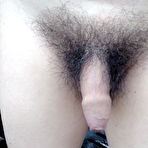 First pic of Hairy foreskin cock(uncut) - 11 Pics | xHamster