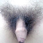 Second pic of Hairy foreskin cock(uncut) - 11 Pics | xHamster
