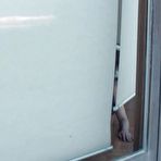 Fourth pic of Naked Desire Streaming Video On Demand | Adult Empire